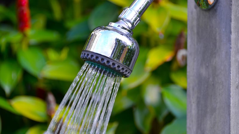 Closeup of a shower head with tropical foliage in the background