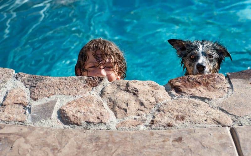Boy and dog in an inground swimming pool, peeking over the naturalistic stone coping