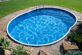 Small oval shaped backyard swimming pool