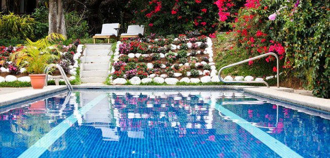 Flowers and other plants surround an inground swimming pool