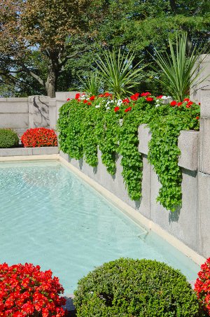 Garden pool with hanging plants