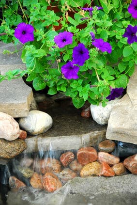 Detail from a Japanese garden