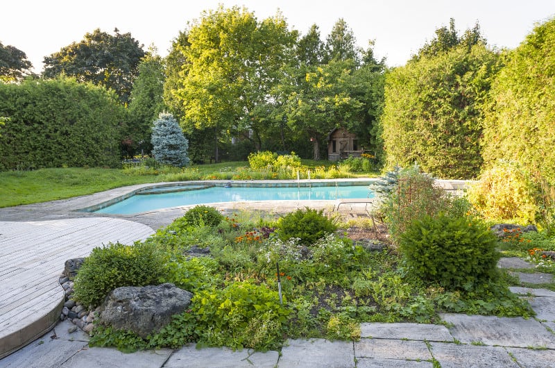 Rock garden with lots of lush spring greenery next to a backyard swimming pool