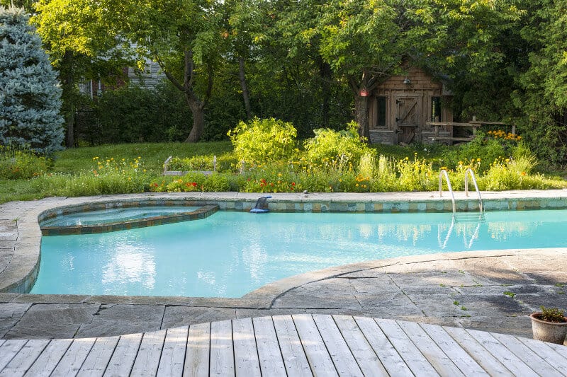 Backyard pool with attached spa and lots of attractive plants around it