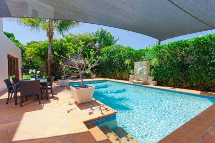 Small luxury pool with hedges and tropical plants providing privacy