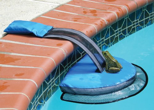 Swimline Froglog - a skamper ramp for frogs to escape a swimming pool