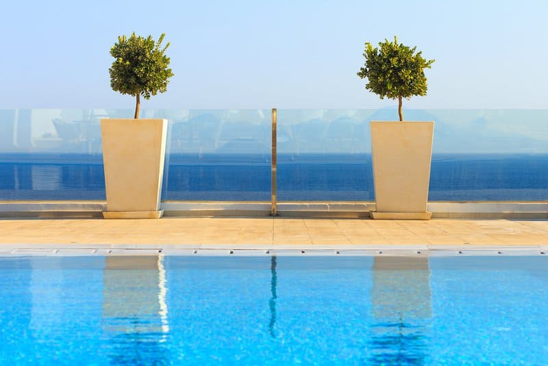 Two potted trees on the deck of a luxury swimming pool