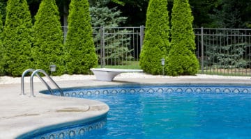 Inground pool surrounded by evergreen trees
