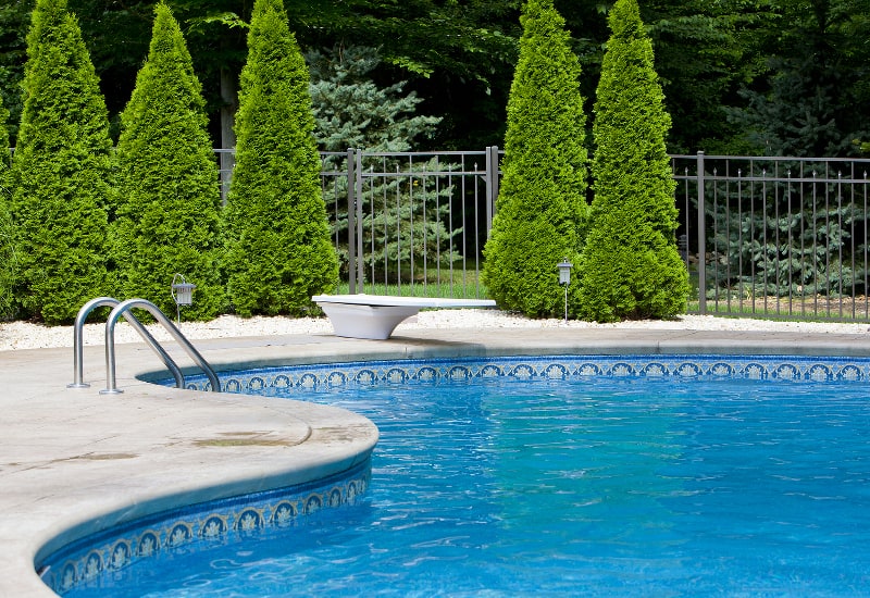 Inground pool surrounded by evergreen trees